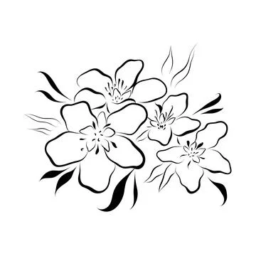 Continuous line drawing. line art apple blossom Vector Stock Illustration