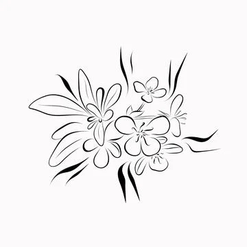 Continuous line drawing. line art apple blossom Vector Stock Illustration