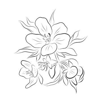 Continuous line drawing. line art apple blossom Vector Stock Illustration