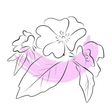 Continuous line drawing. line art apple blossom Vector Stock Illustration