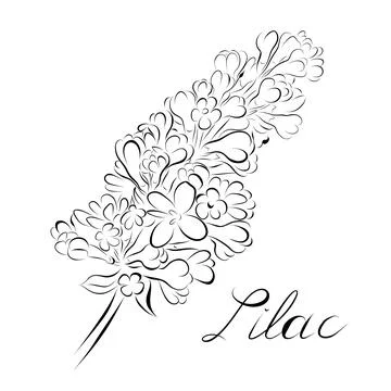 Continuous line drawing. line art lilac Vector Stock Illustration
