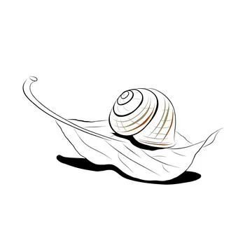 Continuous line drawing. line art snail on a leaf Vector Stock Illustration