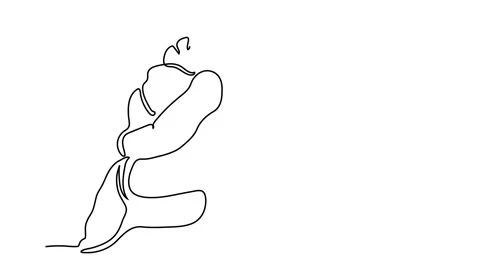 Continuous line drawing of man and women look at backside hugging each other. ro Stock Footage 149355165