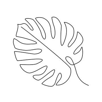 Continuous line drawing Monstera leaf isolated on white.  Stock Illustration