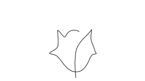 Continuous line drawing of Portrait of a Beautiful Woman's face. The Concept of  Stock Footage 143309824