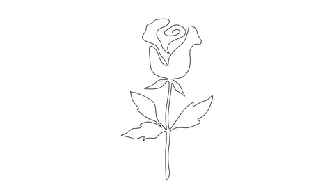 Continuous Line Drawing Rose Flower Animation Stock Footage 297561598