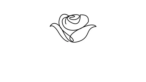 Continuous Line Drawing Of Rose Flowers Black Sketch Isolated on White Back.. Stock Footage 288200373