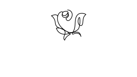 Continuous Line Drawing Of Rose Flowers Black Sketch Isolated on White Back.. Stock Footage 288200374