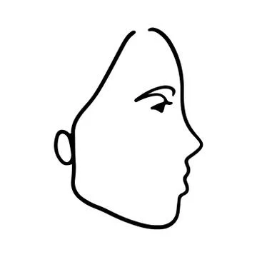 Continuous line, drawing of set faces and hairstyle, fashion concept, woman beau Stock Illustration