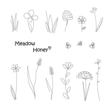 Continuous Line Drawing Set Of Meadow Plants and Bees. Honey Flowers Isolated on Illustrazione stock