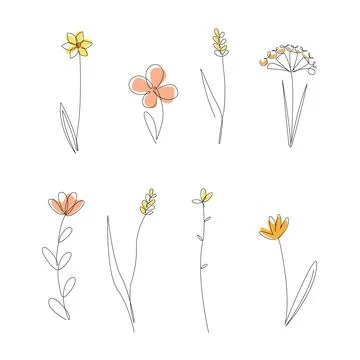 Continuous Line Drawing Set Of Wild Meadow Plants. Honey Flowers Isolated on Stock Illustration