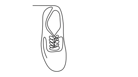 Continuous line drawing of shoes simple design Stock Footage 143309861