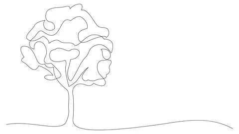 Continuous line drawing of tree. Hand drawn vector illustration. Stock Illustration