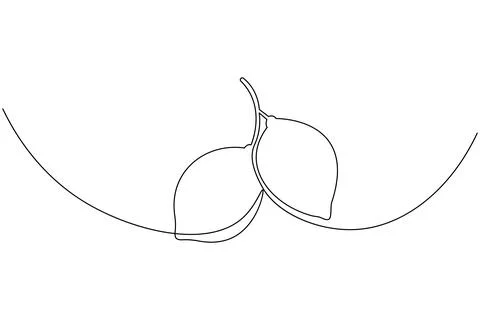 Continuous line drawing of two lemons Stock Illustration