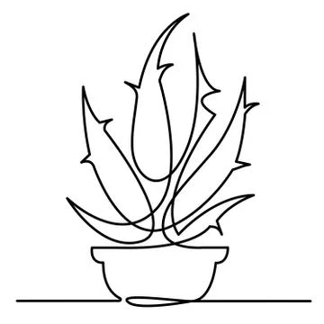 Continuous Line Drawing of Vector Aloe Vera logo icon for natural organic Illustrazione stock