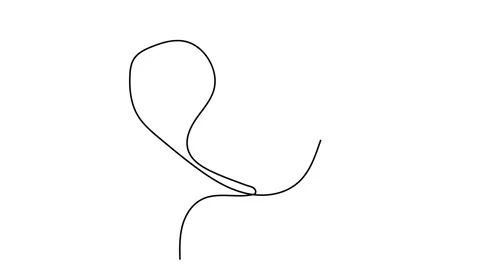 Continuous line, face drawing and hair style, fashion concept, simple woman beau Stock Footage 143528592