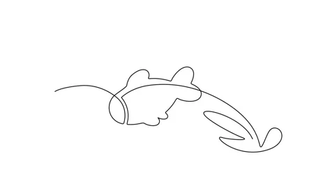 Continuous Line Fish Icon, Monoline Fishing Symbol, One Line Tuna Silhouette Stock Footage 250165583