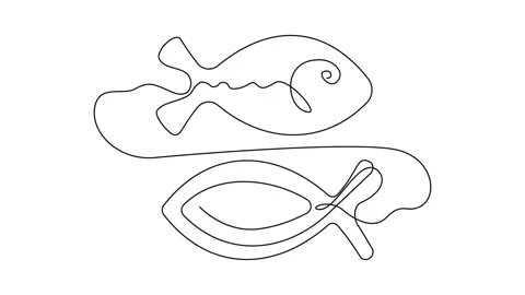 Continuous Line Fish Icon, Monoline Fishing Symbol, One Line Tuna Silhouette Stock Footage 250165585