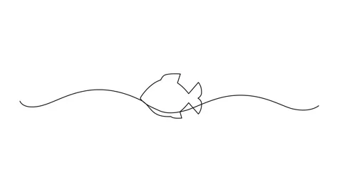 Continuous Line Fish Icon, Monoline Fishing Symbol, One Line Tuna Silhouette Stock Footage 250165587