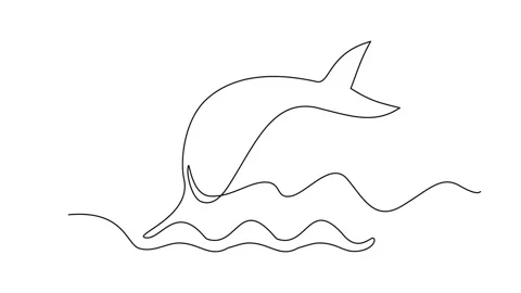 Continuous Line Fish Icon, Monoline Fishing Symbol, One Line Tuna Silhouette Stock Footage 250165589