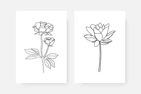 Continuous line flower posters. Abstract set of wall decor with one line Stock Illustration