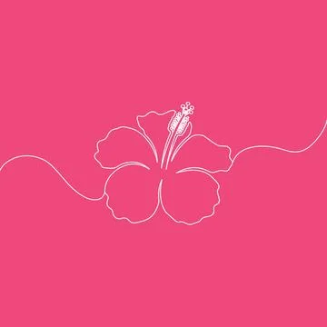 Continuous Line Hibiscus Outline Design on Pink Backdrop Stock Illustration