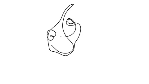 Continuous line King Charles Cavalier. Single line minimal style King Charles Sp Stock Footage 145132662