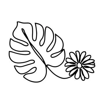 Continuous line of a monstera leaf and a daisy flower, minimalist botanical.. Illustrazione stock