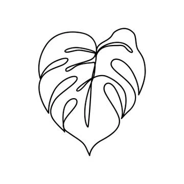 Continuous line monstera leaf. Tropical leaves contour drawing Stock Illustration