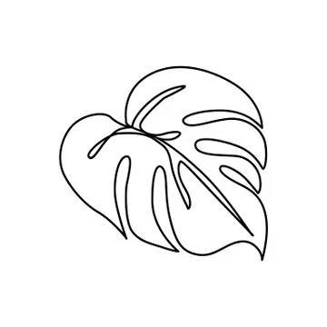 Continuous line monstera leaf. Tropical leaves contour drawing Stock Illustration