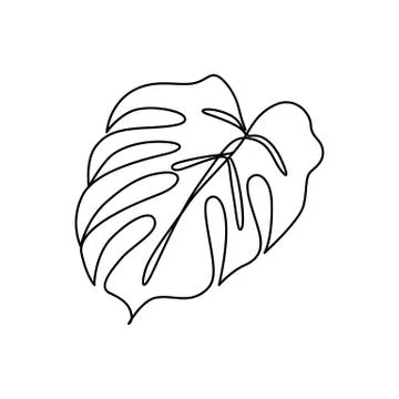 Continuous line monstera leaf. Tropical leaves contour drawing Stock Illustration