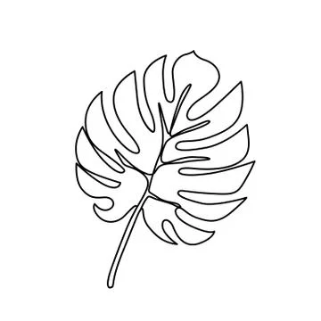 Continuous line monstera leaf. Tropical leaves contour drawing Stock Illustration