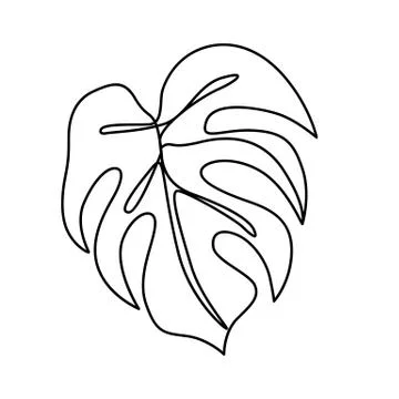 Continuous line monstera leaf. Tropical leaves contour drawing Stock Illustration