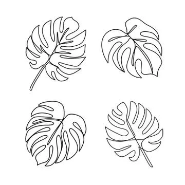 Continuous line monstera leaf. Tropical leaves contour drawing Stock Illustration
