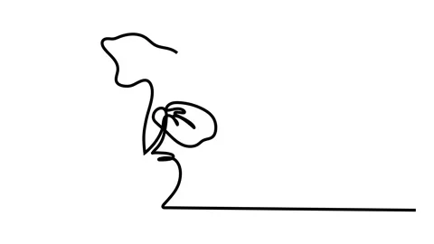 Continuous line Potted plants Vector illustration Stock Footage 143706918