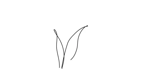 Continuous lines blooming tulips simple art Single line drawing Stock Footage 143389813