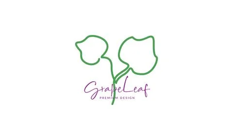 Continuous lines leaf taro logo symbol vector icon illustration graphic desig Stock Illustration