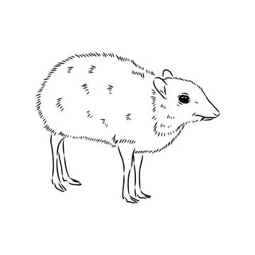 Continuous lines mouse deer logo symbol vector icon illustration graphic desi Stock Illustration