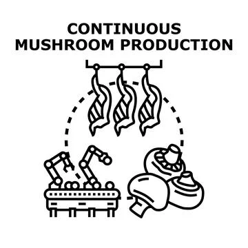 Continuous mushroom production process vector illustration concept Stock Illustration