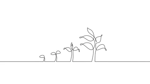 Continuous one line animation Plant growth process Stock Footage 227542885