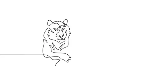 Continuous one line animation of Tiger rest lying Stock Footage 227561128