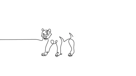 Continuous one line animation of Tiger running Stock Footage 227561391