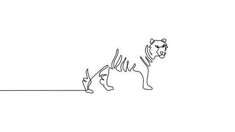 Continuous one line animation of Tiger walking Stock Footage 227561433