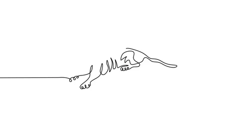 Continuous one line animation of Tiger jumping Stock Footage 227561691