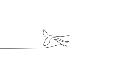Continuous one line of blue whale poster for wallpaper animation Stock Footage 227567251