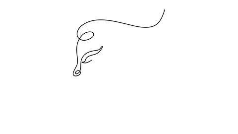 Continuous one line drawing. Abstract portrait of pretty young woman with be Stock Footage 143389830