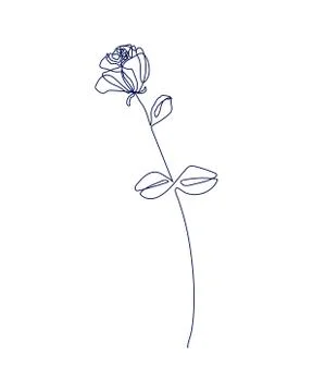 Continuous one line drawing. Beautiful rose flower logo. Vector illustration Stock Illustration