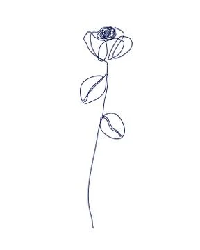 Continuous one line drawing. Beautiful rose flower logo. Vector illustration Stock Illustration