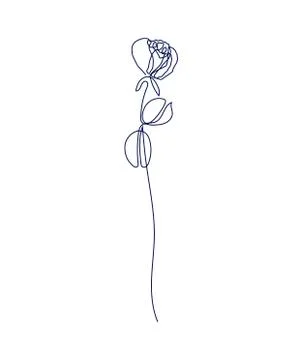 Continuous one line drawing. Beautiful rose flower logo. Vector illustration Stock Illustration