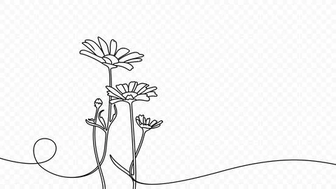 Continuous one line drawing of beautiful wild flowers chamomile vector design Stock Illustration